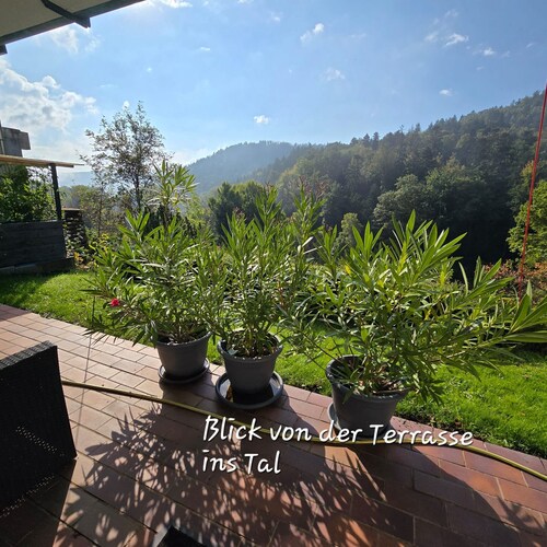 Apartment 'Burkhardt' mit Bergblick, privater Terrasse und WLAN