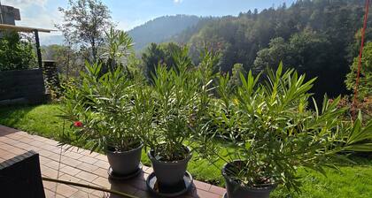 Apartment 'Burkhardt' mit Bergblick, privater Terrasse und WLAN