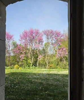 Interior - La Falgarié - VIRAC - Gîte (VIRAC)