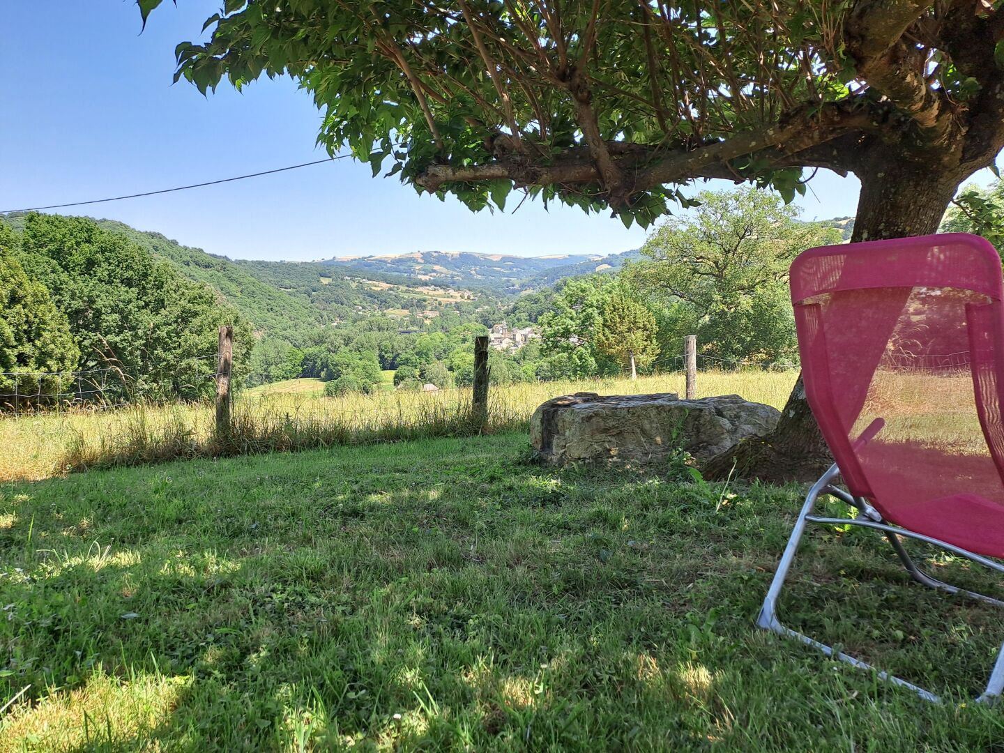 A grassy area with a red chair, a large rock, and a tree.