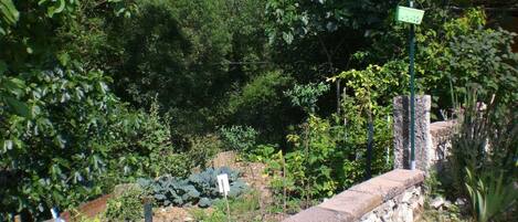 Área da propriedade