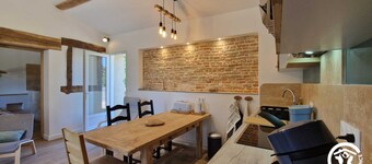 Le Chinchilla - GAILLAC