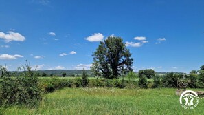 المنطقة المحيطة بالمنشأة