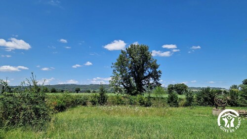 Le Chinchilla - GAILLAC