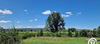 Le Chinchilla - GAILLAC