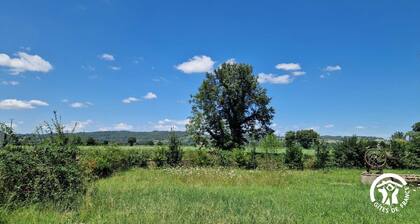 Le Chinchilla - GAILLAC