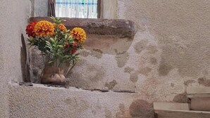 A staircase with a stone wall, a window with striped curtains, and a vase with flowers.