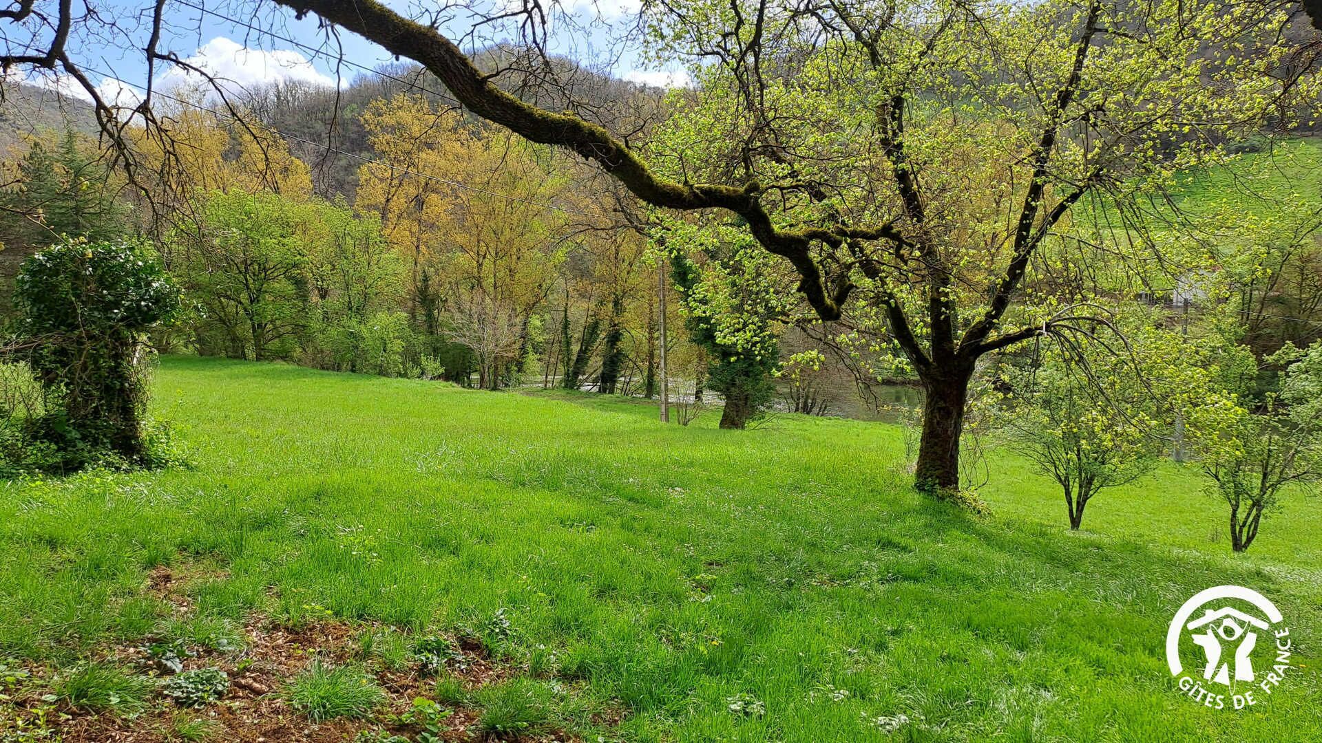 Terrain de l’hébergement 