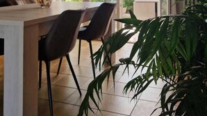 A modern dining area with a large table, chairs, and a hanging light fixture.