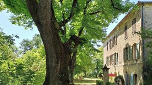 A tree-lined pathway leading to a stone building with multiple windows and a red umbrella. - The kitchens of Château d'Appelle (APPELLE)