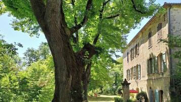 Un vialetto alberato che conduce a un edificio in pietra con molte finestre e un ombrello rosso.
