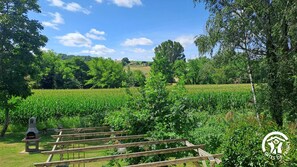 Property grounds - La Vergnère - MONTGAILLARD (MONTGAILLARD)