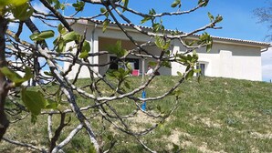 A house with a sloped roof, surrounded by a grassy area and a tree with green leaves. - Les Acacias d'En Cassé (LAVAUR)