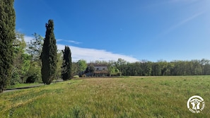 A rural landscape with a house surrounded by tall trees and a grassy field.