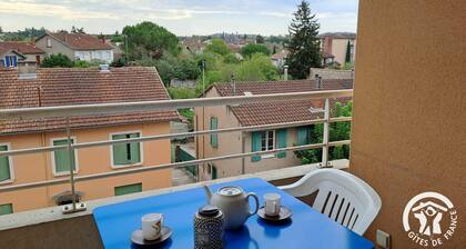 Albi Rive droite - Albi