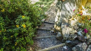 A stone pathway with wooden steps leading through a garden with green foliage and yellow flowers.
