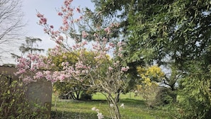 A garden with flowering trees and a building in the background. - Enjalbert - Albi - Gîte (Albi)