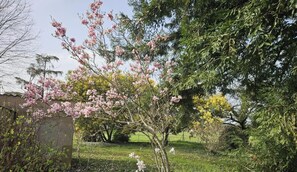 Property grounds - Enjalbert - Albi - Gîte (Albi)