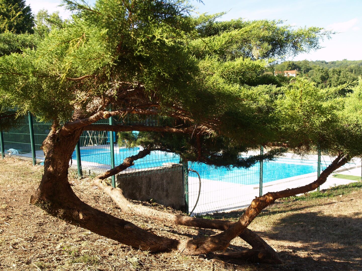 Terrein van de accommodatie