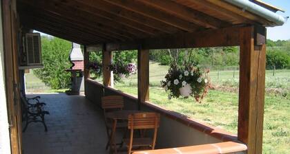 La Rivaillée - PARISOT