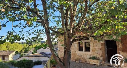 La Vigneronne - CESTAYROLS