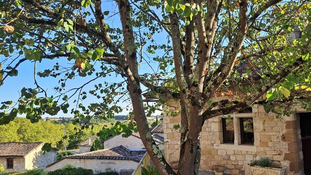 A stone building with a tiled roof, a tree in front, and a clear sky.
