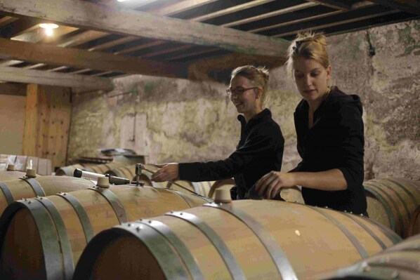 A cellar with wooden barrels, a rustic stone wall, and a wooden ceiling. - Petit Nareye - CADALEN (CADALEN)