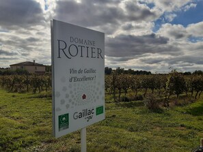 A vineyard with a sign for Domaine Rotier, indicating a focus on Gaillac wine. - Petit Nareye - CADALEN (CADALEN)