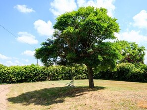 Área da propriedade