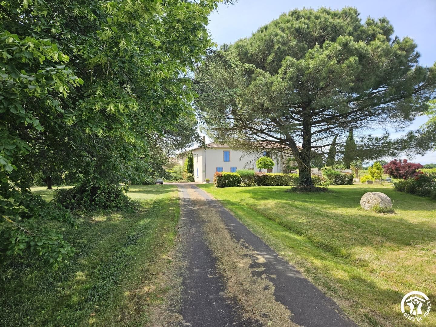 Un sendero que lleva a una casa con jardín, rodeada de árboles y arbustos.