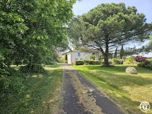 Un sendero que lleva a una casa con jardín, rodeada de árboles y arbustos.