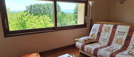 Una televisión, una chimenea