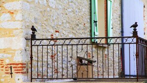Un garde-corps de balcon en fer forgé sur lequel est perché un oiseau, une porte avec des volets verts et un mur à la texture rugueuse.