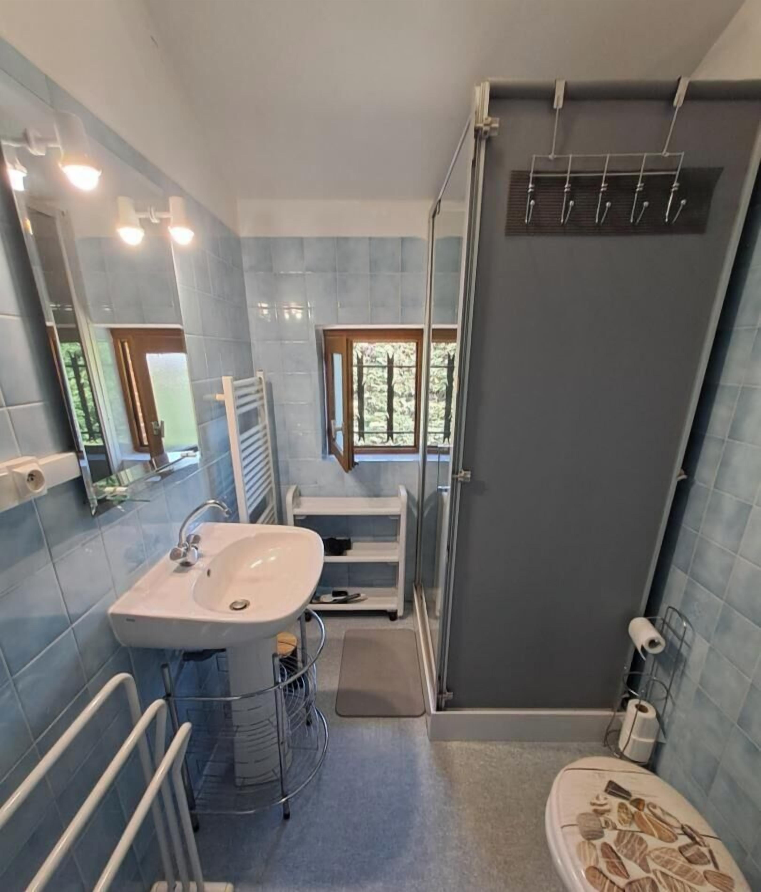 A bathroom with a sink, mirror, shower, and toilet.