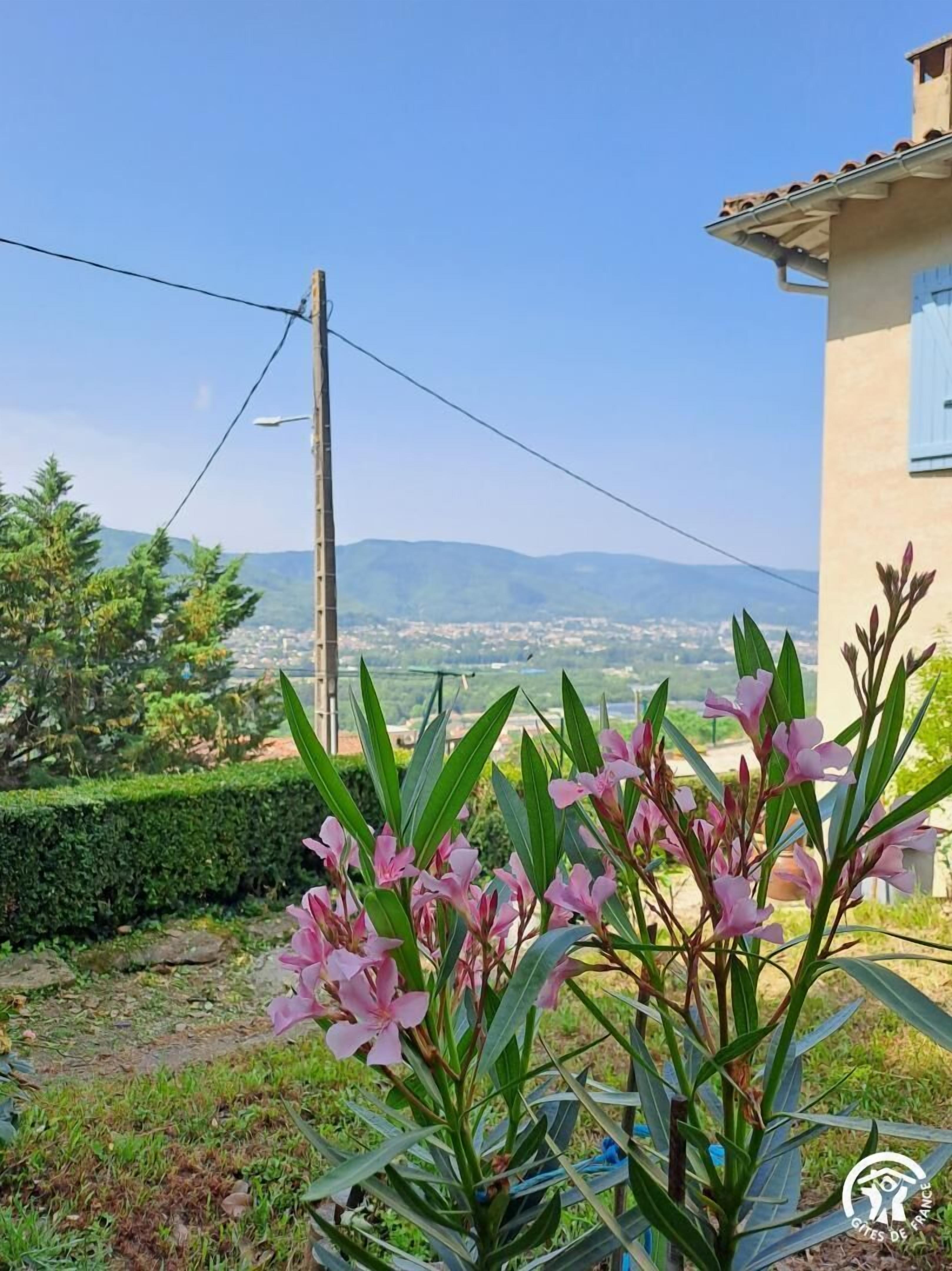 A garden with pink flowers and a view of distant mountains.