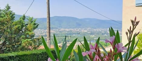 A garden with pink flowers and a view of distant mountains.