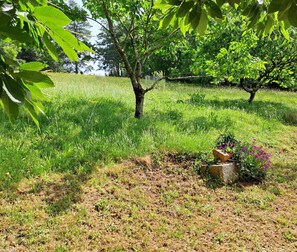 A grassy field with trees and a small garden area with flowers.