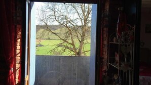 A room with a view of a tree-lined field through an open door.