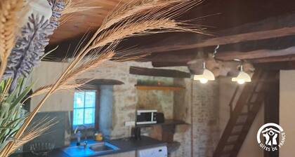 Figat - PENNE - GĂźte