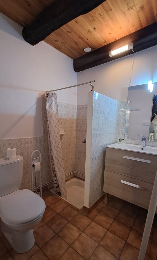 Kylpyhuone, jossa on suihku, wc ja pesuallas.