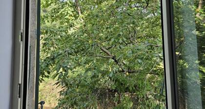 Le PresbytĂšre d'Aiguefonde