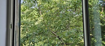 The Presbytery of Aiguefonde