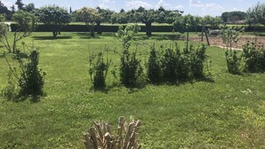 A well-maintained grassy field with trees and shrubs, likely part of a park or garden setting.