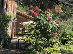 Áreas de la propiedad