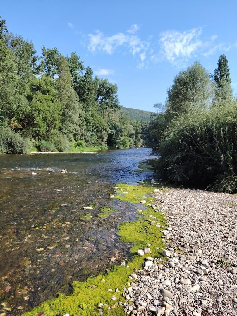 A river with clear water, surrounded by trees and a rocky riverbank.