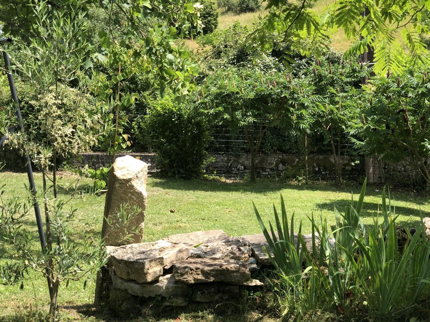 A garden with various plants and a stone structure.