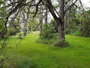 المنطقة المحيطة بالمنشأة