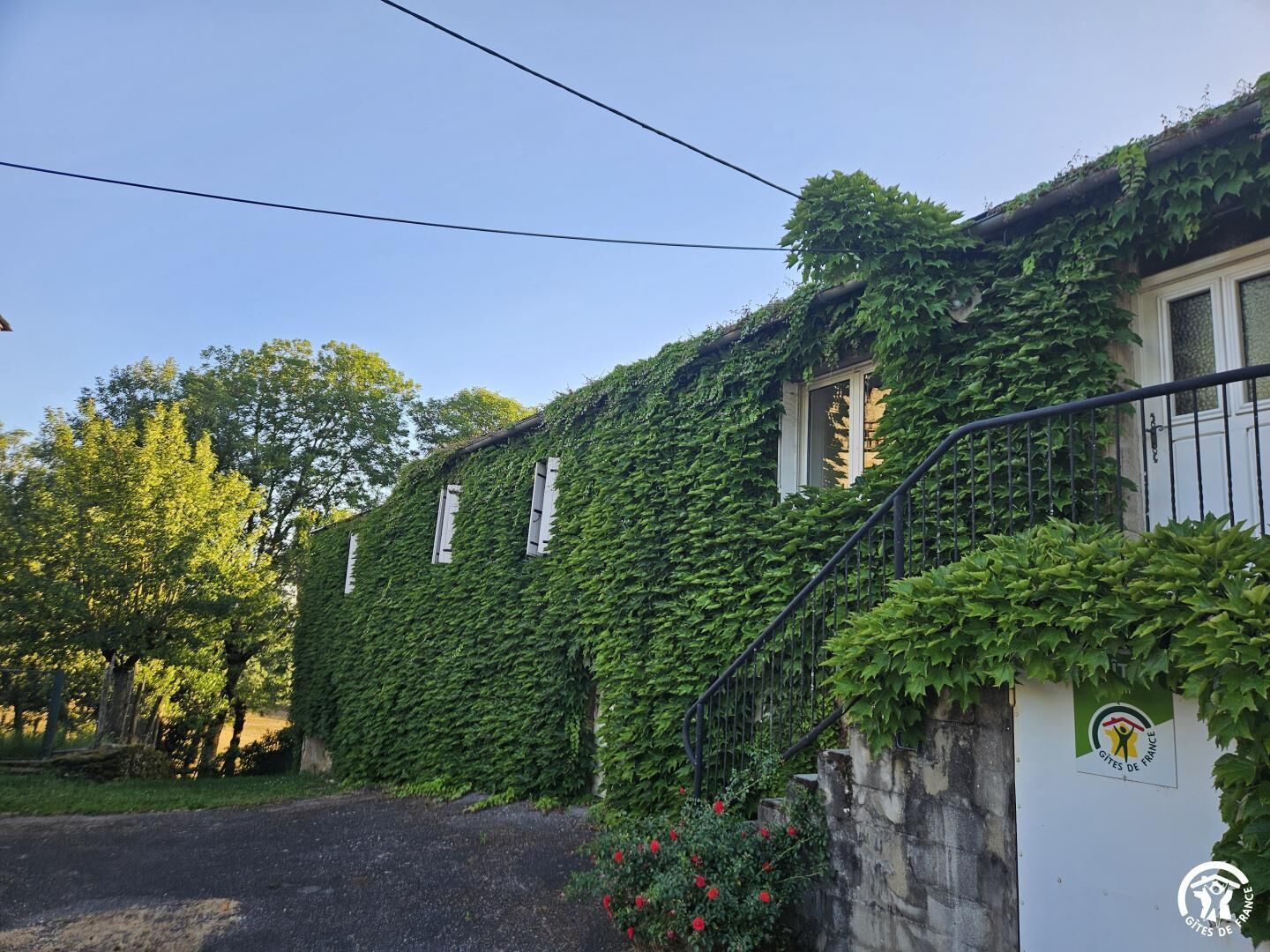 A building covered with ivy, a stone staircase, and a logo on the wall.