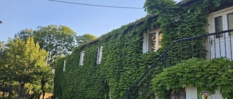 A building covered with ivy, a stone staircase, and a logo on the wall.