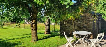 Grand Hortensia - SAINT-PIERRE-DE-TRIVISY